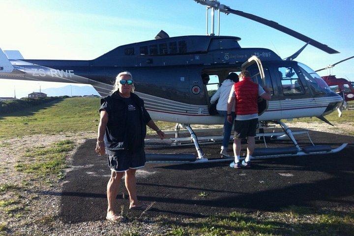 Haikäfigtauchen mit kostenloser Luft im Käfig von Gansbaai