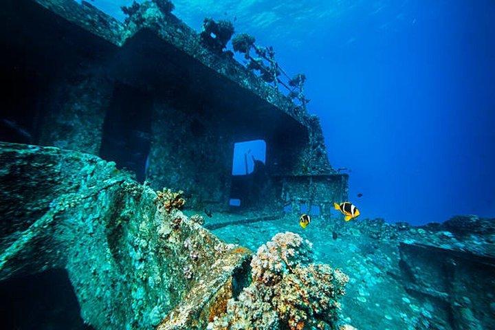 Hurghada: Dive Experience for Beginners or Certified Divers