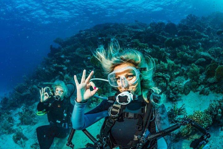 Hurghada: Dive Experience for Beginners or Certified Divers