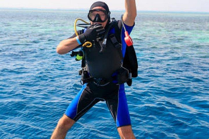 Hurghada: Dive Experience for Beginners or Certified Divers