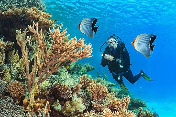Hurghada: Dive Experience for Beginners or Certified Divers