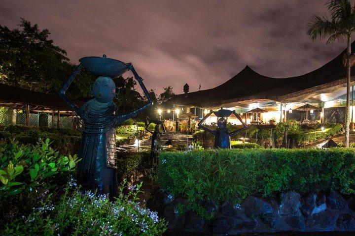 Una notte di ritmo e cucina : Safari Park Cat Dance Experience