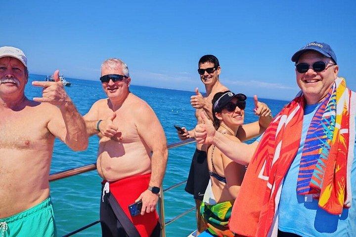 Haikäfigtauchen mit kostenloser Luft im Käfig von Gansbaai