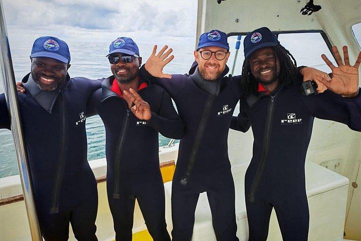 Haikäfigtauchen mit kostenloser Luft im Käfig von Gansbaai
