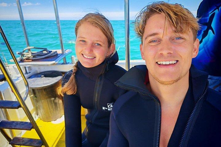 Haikäfigtauchen mit kostenloser Luft im Käfig von Gansbaai