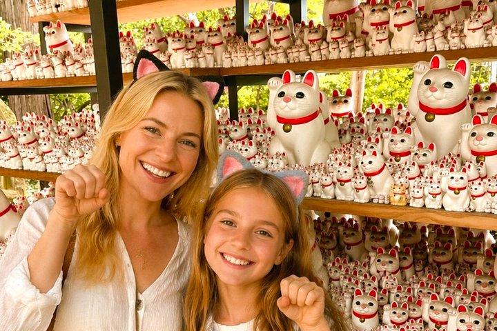 Tóquio: Templo do Gato Gotokuji, Shinjuku Cat Cafe e Excursão 3D do Gato PM