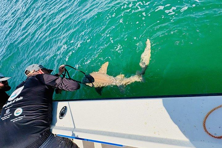 Off Shore Fishing Charters in Clearwater Beach Florida