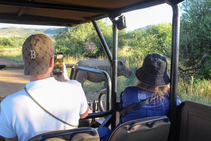 Hoteller i nærheden af Pilanesberg National Park Big Five Safari