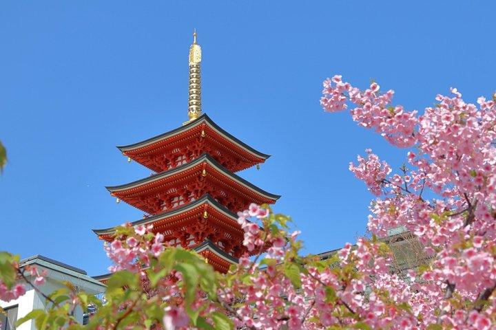 Entdecken Sie Fukuoka Geschichte Kultur und Stadtleben
