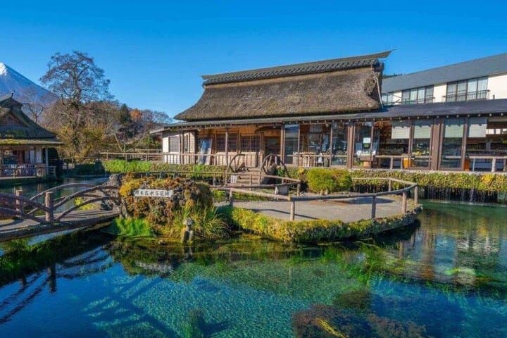 Mt Fuji Day Tour 5th Station Arakurayama Sengen Park and Matcha
