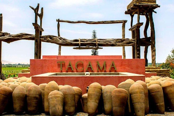 Pisco and Wine Route with Tasting