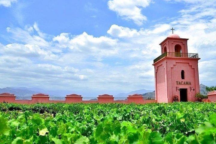 Pisco e Wine Route com degustação