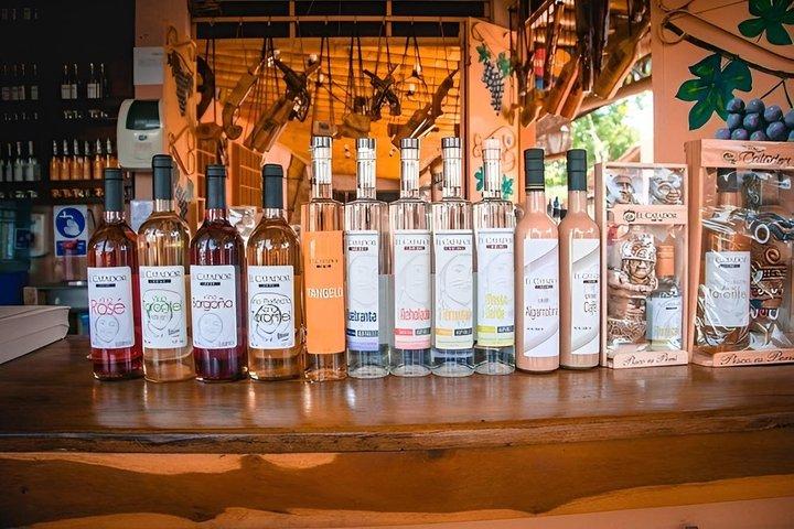 Pisco e Wine Route com degustação