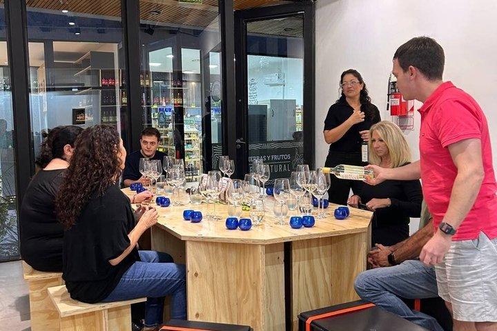 Wine Tasting Experience in Mendoza with a Sommelier Small Group