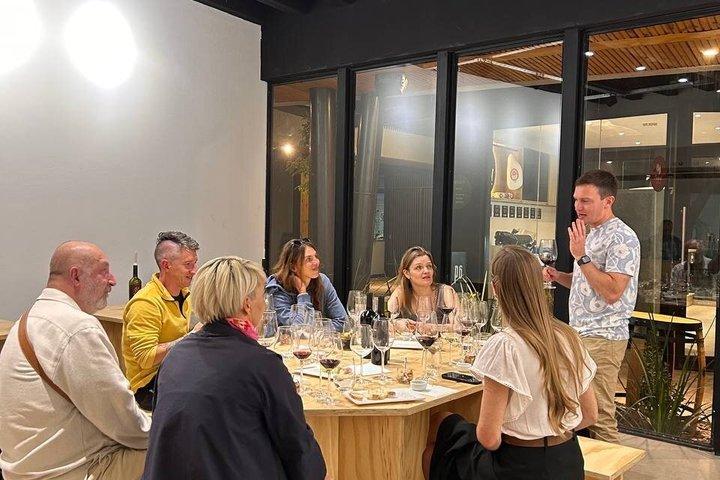 Wine Tasting Experience in Mendoza with a Sommelier Small Group