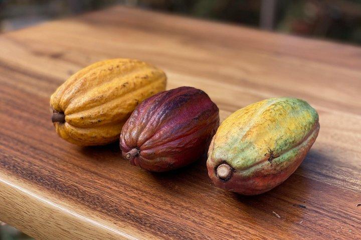 Lahaina Cacao Farm Tour e Festa