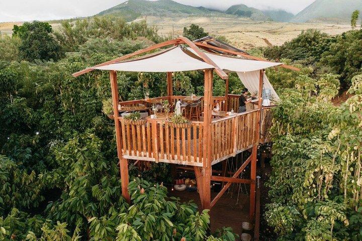 Lahaina Cacao Farm Tour e Festa