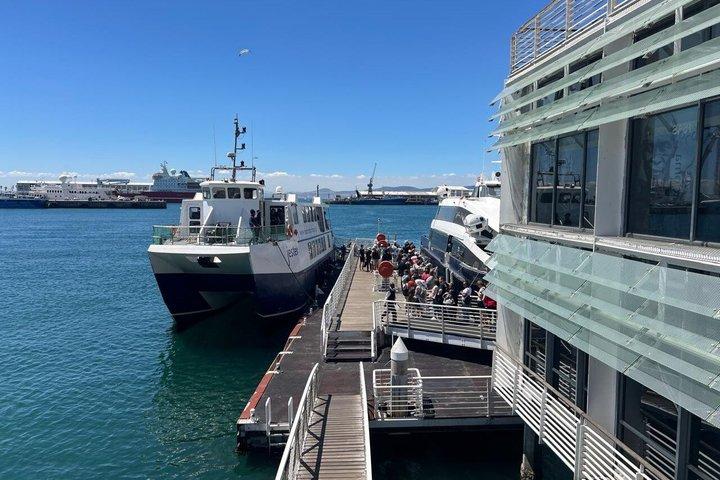 Tour de medio día por Ciudad del Cabo : Isla Robben y Experiencia en museos