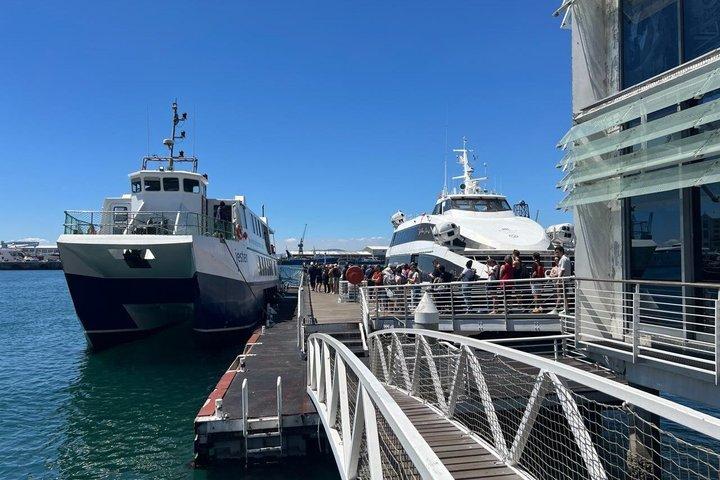 Tour de medio día por Ciudad del Cabo : Isla Robben y Experiencia en museos