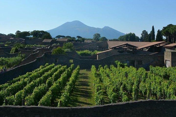 Pompeii Daily Roman Life Tour em pequeno grupo com um arqueólogo