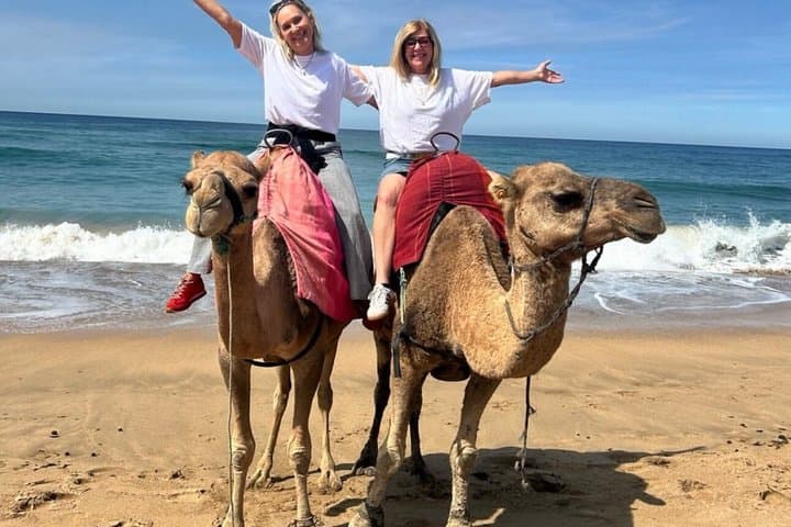 Luxury Private 4H Tour Of Tangier