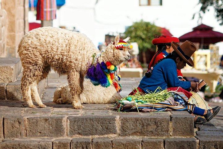 Private Cusco Night Tour with Pisco Tasting and Hands On Classes