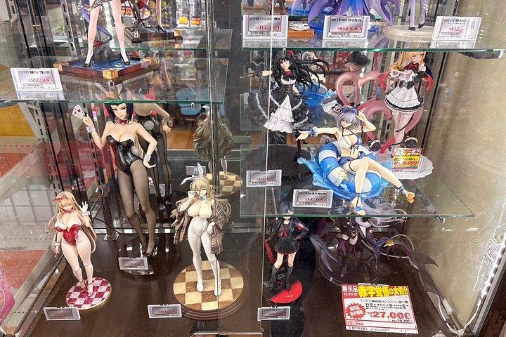東京プライベート秋葉原アニメマンガ散歩ツアー 隠れた宝石と