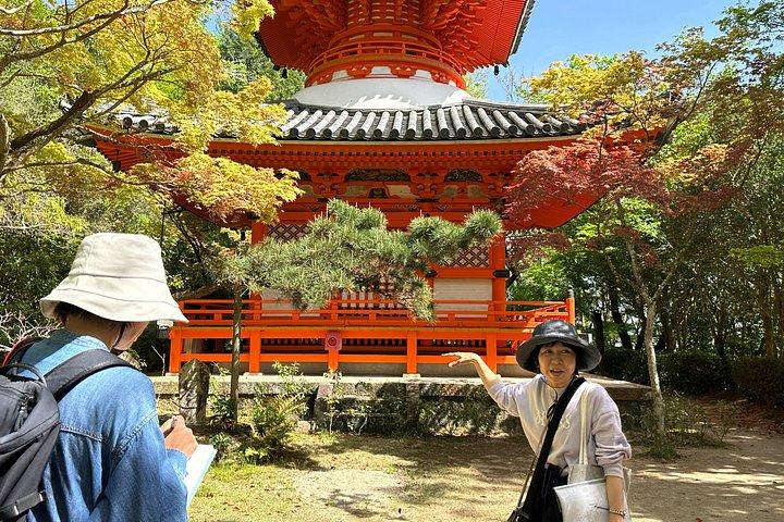 Mitaki Peace Tour Beyond Central Hiroshima