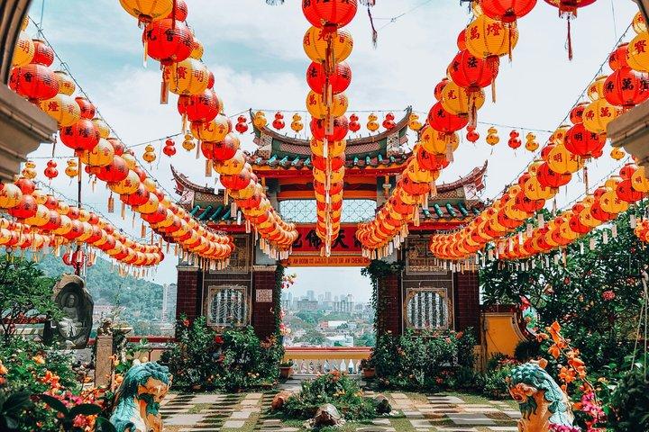 George Town Highlights & Upside Down Museum ture (5 timer)