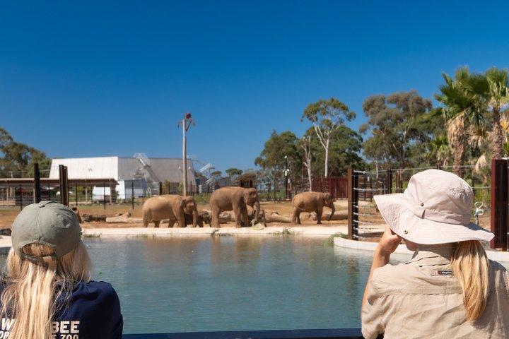 Ingresso geral para o zoológico de Werribee Open Range