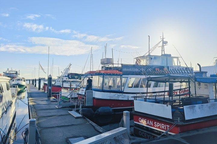 Heldags fisketur på Auckland Waitemata Harbour