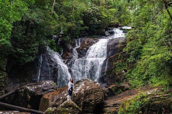 Sinharaja Rainforest Day Trip from Ahangama