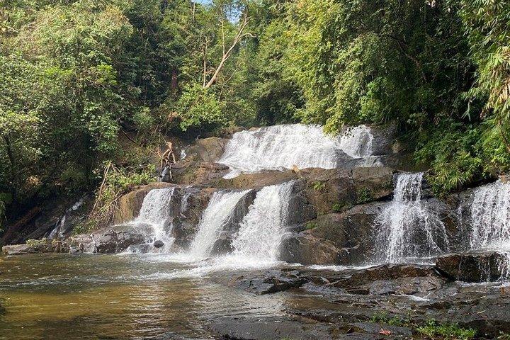 Sinharaja Rainforest Day Trip from Ahangama