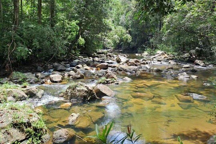 Sinharaja Rainforest Day Trip from Ahangama