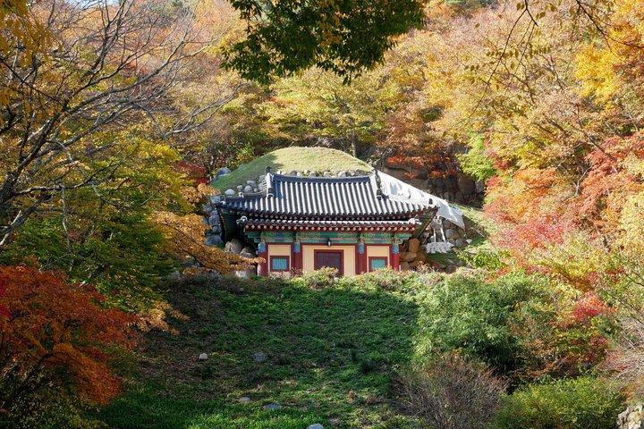 Gyeongju Silla Heritage avec visite d'une journée de la grotte de Seokguram au départ de Busan