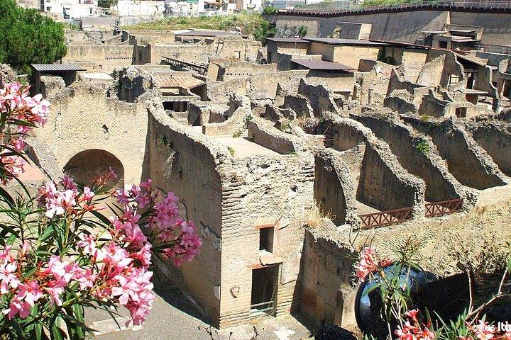 ヘルクラネウム・プライベートツアー：ローマ遺跡とモザイクを巡る旅
