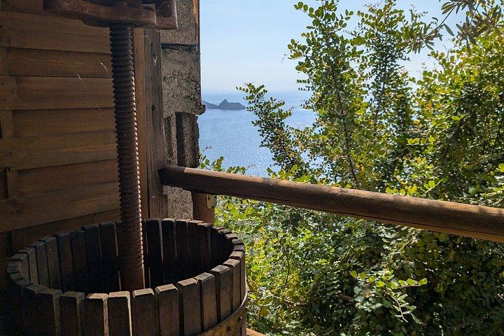 Authentic Cooking with Locals: Meal, Wine & Scenic Views