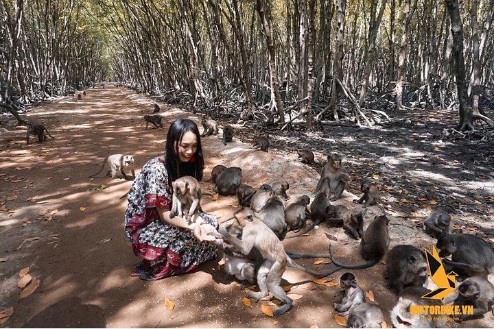 From Ho Chi Minh: Can Gio Mangrove Forest & Monkey Island