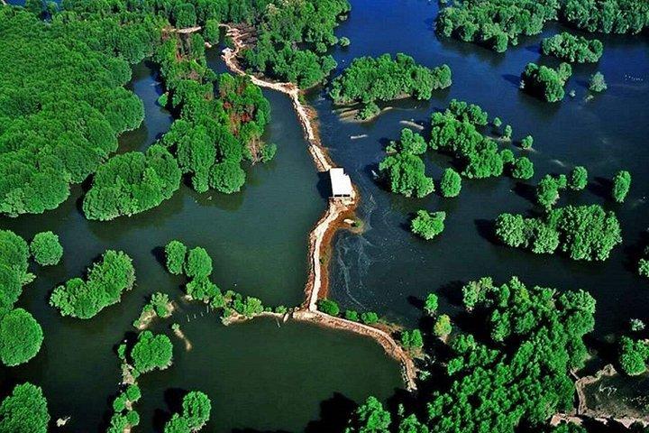 From Ho Chi Minh: Can Gio Mangrove Forest & Monkey Island