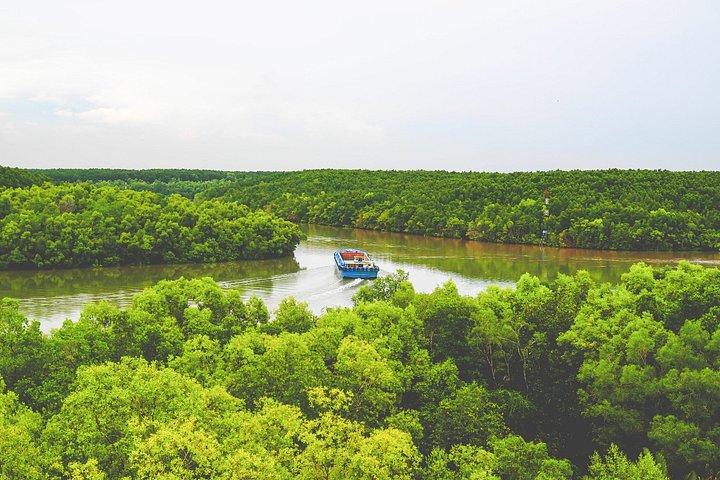 From Ho Chi Minh: Can Gio Mangrove Forest & Monkey Island