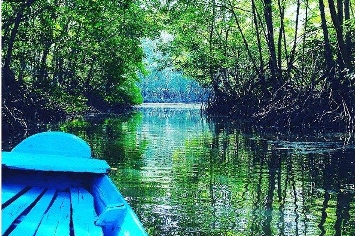 From Ho Chi Minh: Can Gio Mangrove Forest & Monkey Island