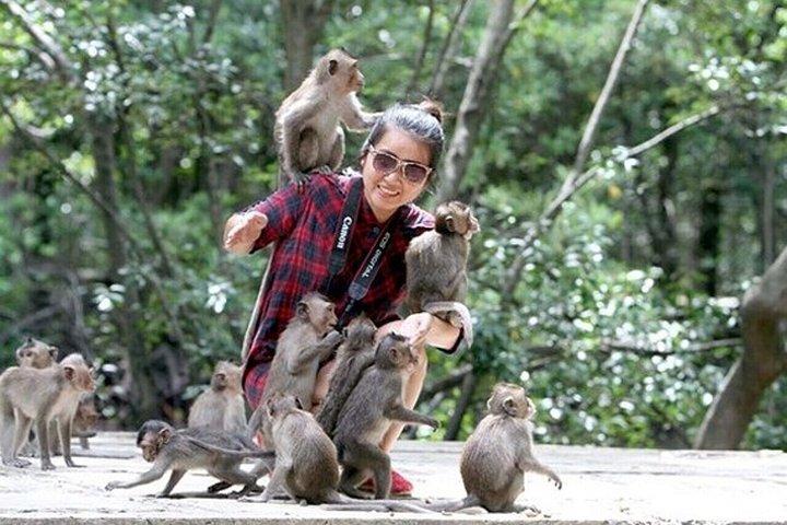 From Ho Chi Minh: Can Gio Mangrove Forest & Monkey Island