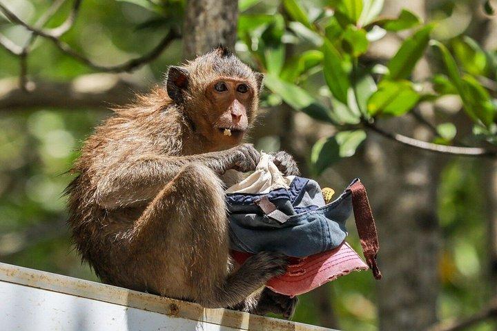 From Ho Chi Minh: Can Gio Mangrove Forest & Monkey Island