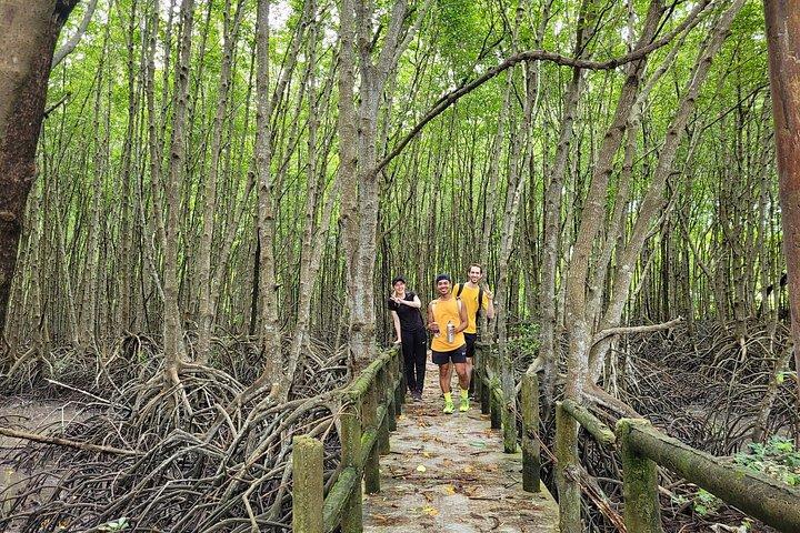 Explore Can Gio Mangrove Forest Eco Trekking And Nature Escape