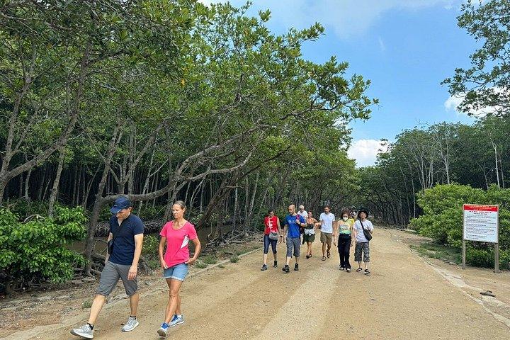 From Ho Chi Minh: Can Gio Mangrove Forest & Monkey Island