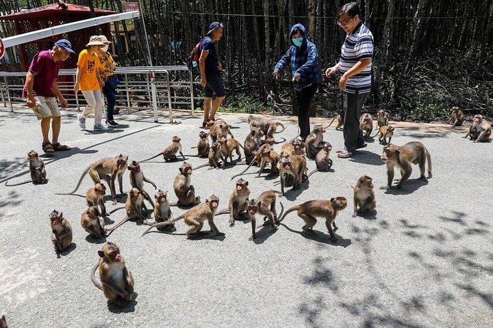 From Ho Chi Minh: Can Gio Mangrove Forest & Monkey Island