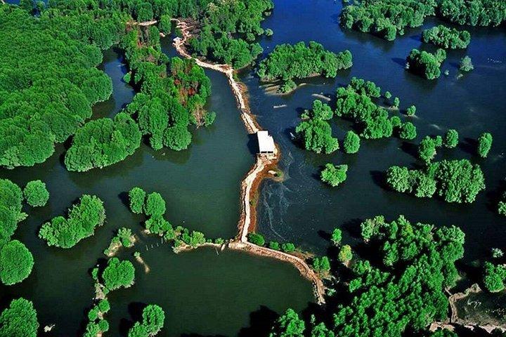 From Ho Chi Minh: Can Gio Mangrove Forest & Monkey Island