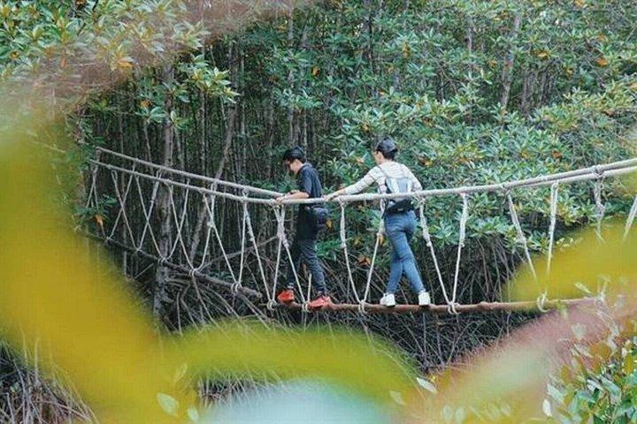 From Ho Chi Minh: Can Gio Mangrove Forest & Monkey Island