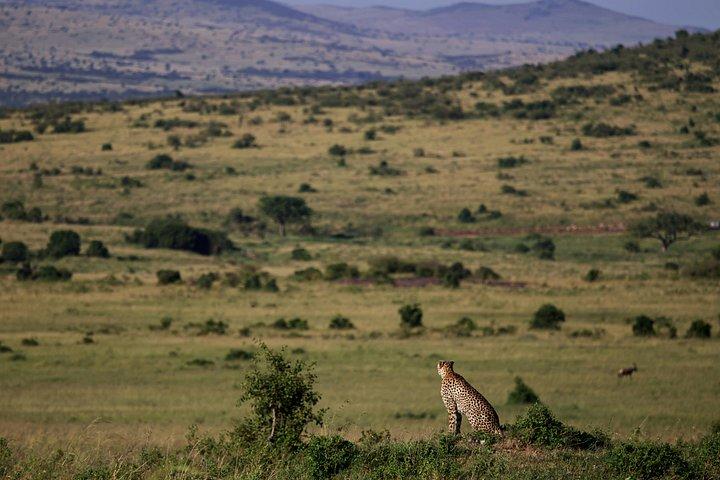 ケニアサファリ10泊旅程ミッドレンジサファリ