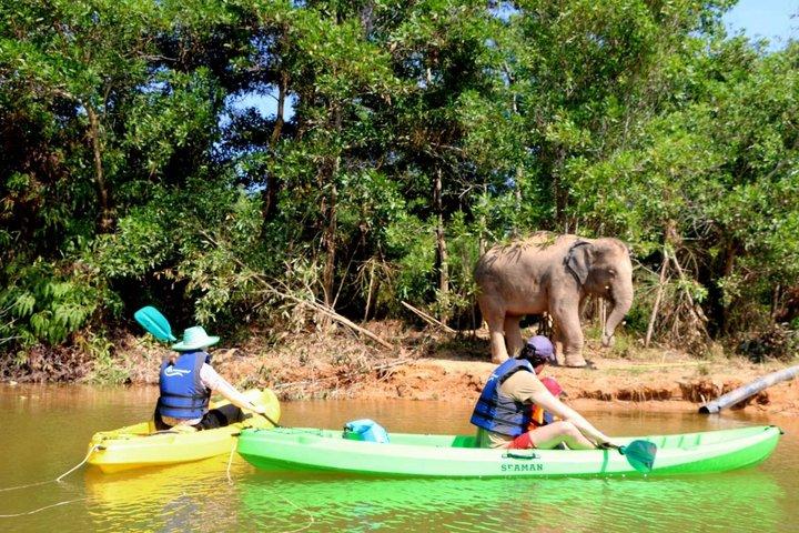 Phuket Elephant Observation & Lake Kayaking Tour